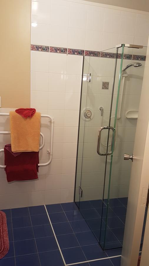 Piopio Carmel Farmstay מראה חיצוני תמונה